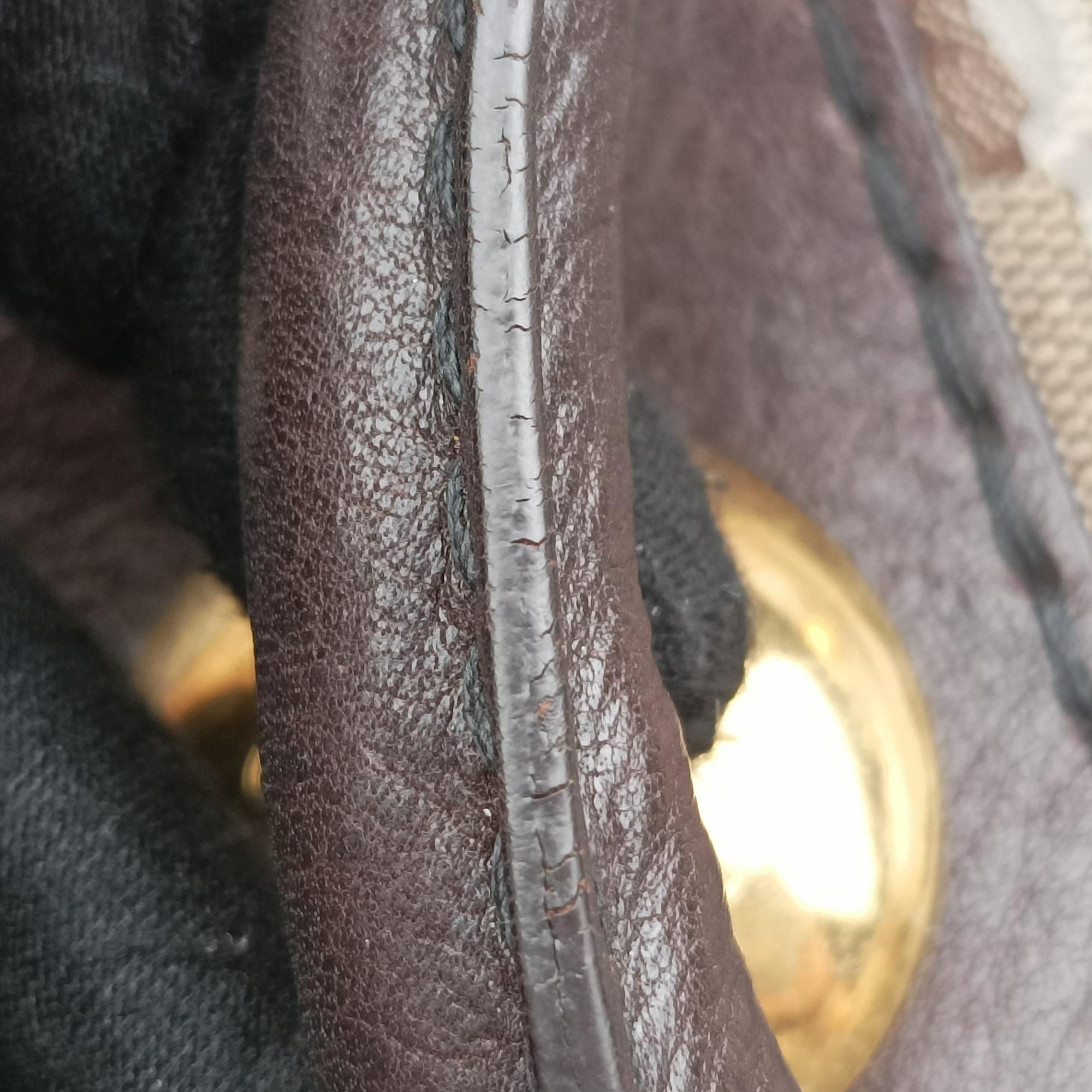 Pre-owned Gucci Babushka Multicolour PVC coated canvas×Leather 207775 handbag | stylenewstar