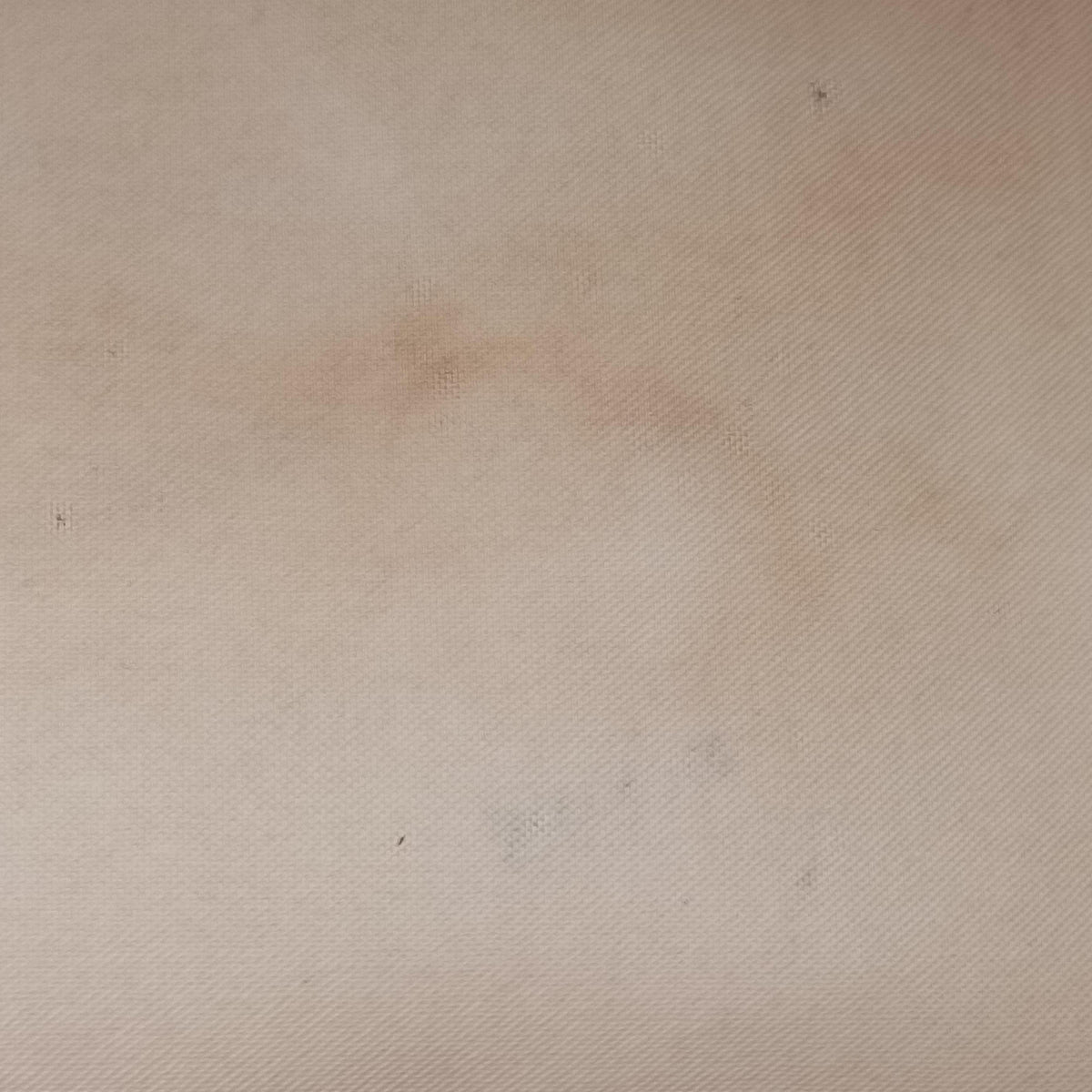 Pre-owned Louis Vuitton Neverfull GM Monogram Rayeur Monogram Rayeur M40561 handbag | stylenewstar