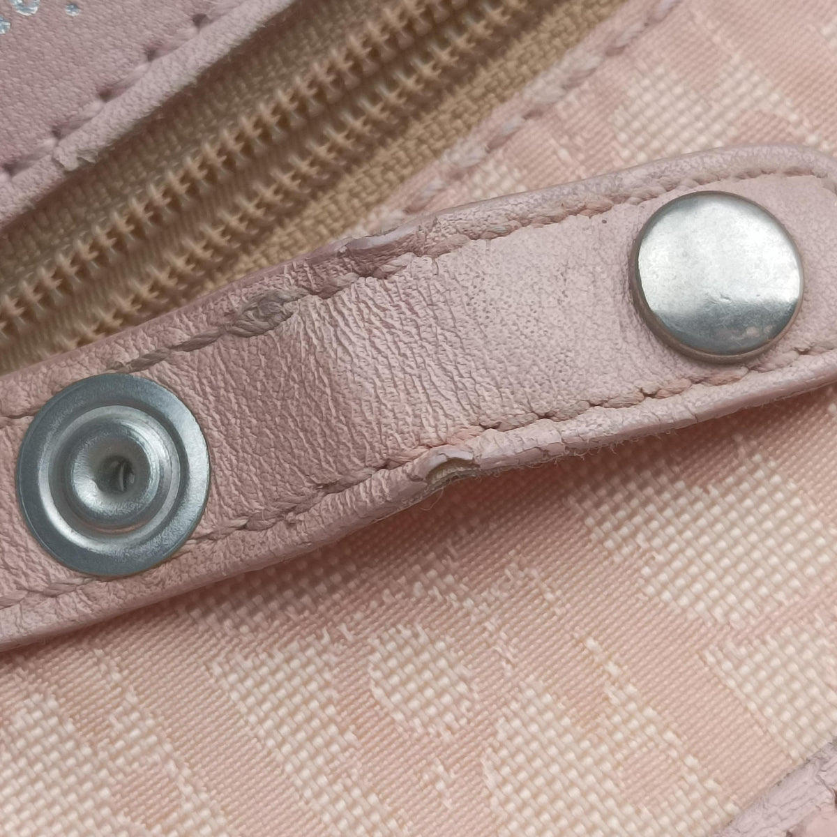 Pre-owned Christian Dior Lovely Pink Canvas × Leather  handbag | stylenewstar