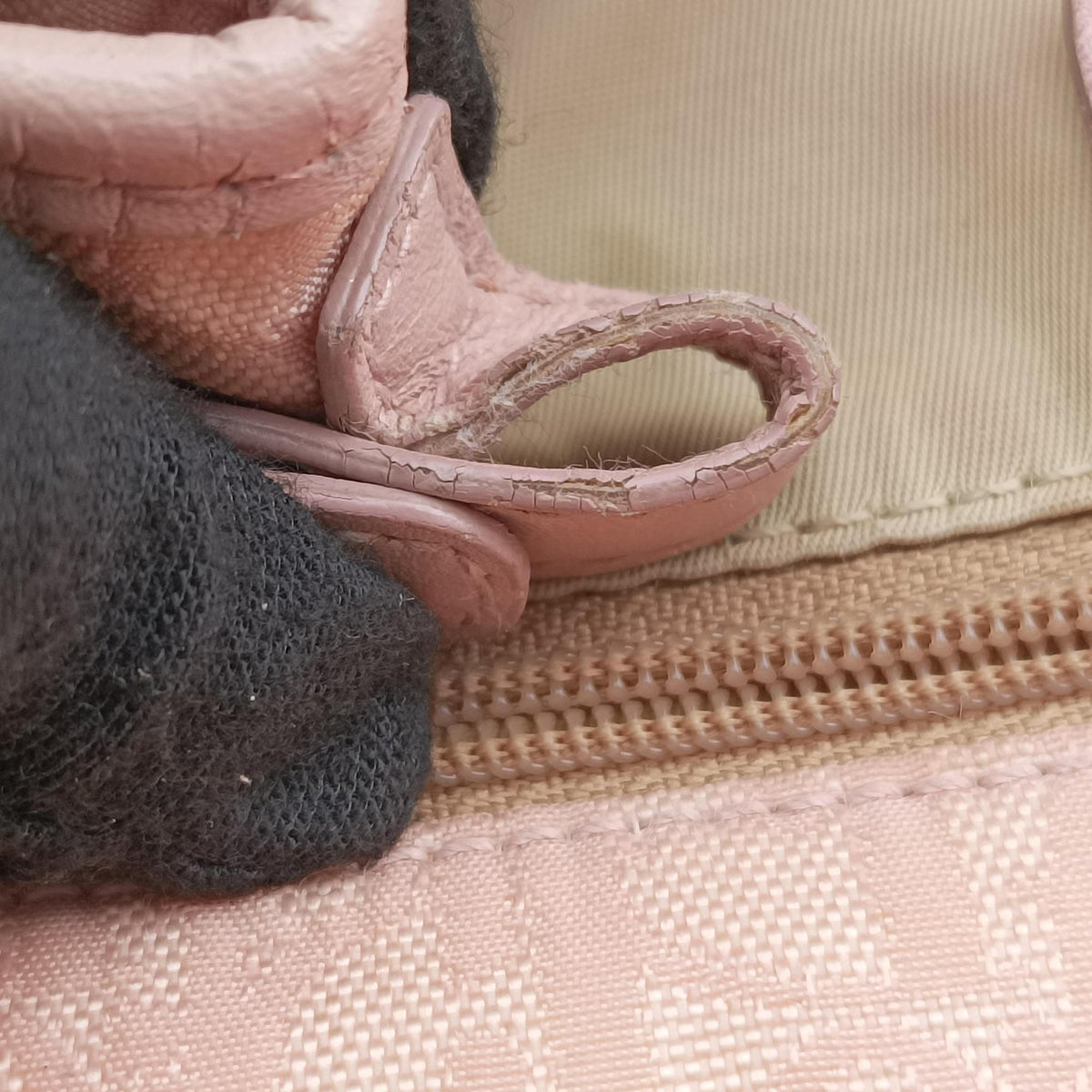 Pre-owned Christian Dior Lovely Pink Canvas × Leather  handbag | stylenewstar