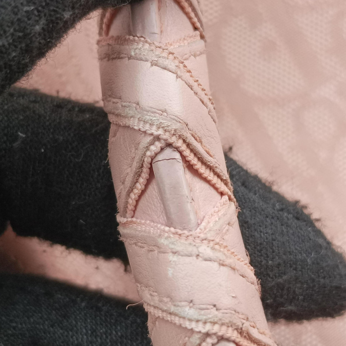 Pre-owned Christian Dior Lovely Pink Canvas × Leather  handbag | stylenewstar