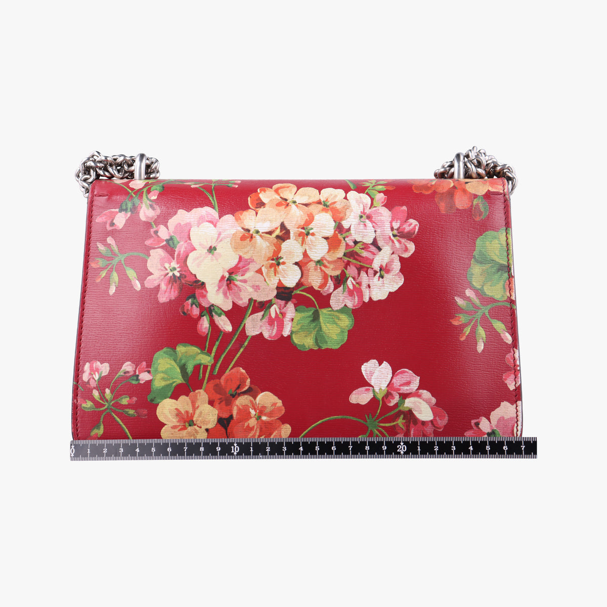 Pre-owned Gucci Dionysus Red×Multicolour Leather 400249 shoulderbag | stylenewstar