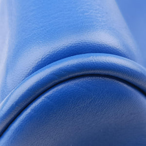Pre-owned Loewe Amazona Blue Leather  shoulderbag | stylenewstar