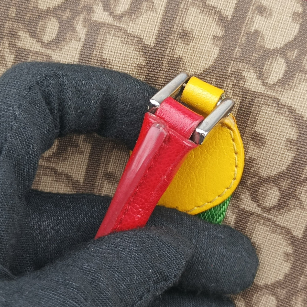 Secondhand Christian Dior Rasta Brown x Multicolor PVC-coated canvas x leather  handbag | stylenewstar