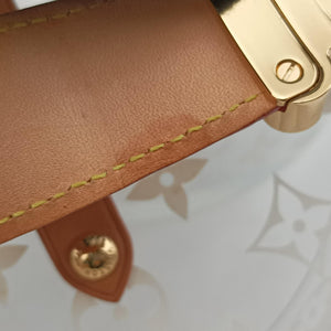Pre-owned Louis Vuitton Box Scott Transparent Monogram Plexiglass GI0203 vanitybag | stylenewstar