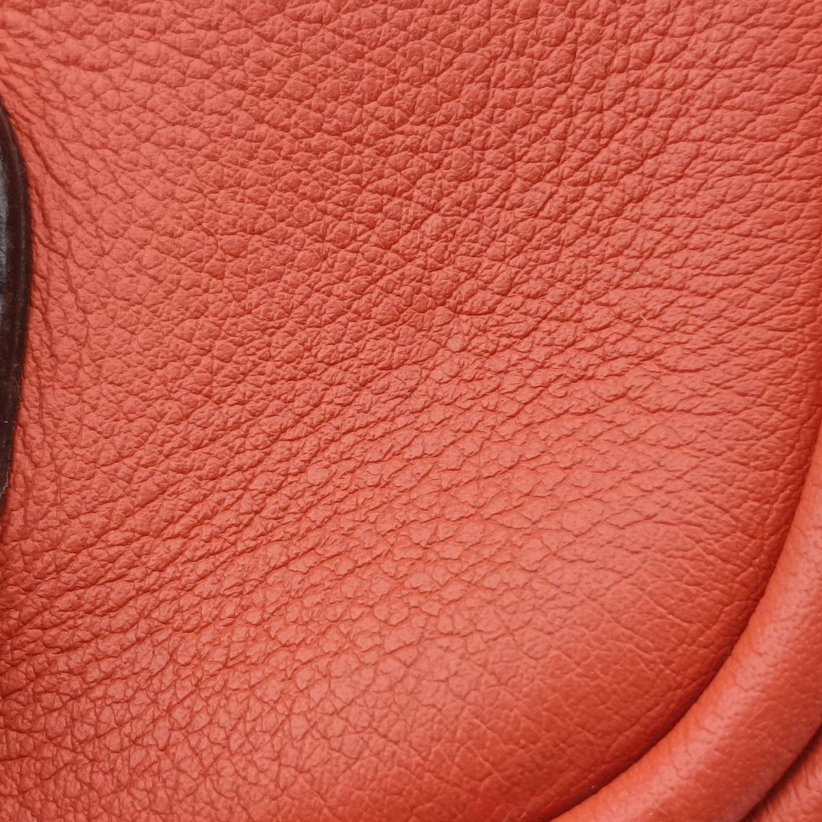 Pre-owned Loewe Amazona Orange Leather  handbag | stylenewstar