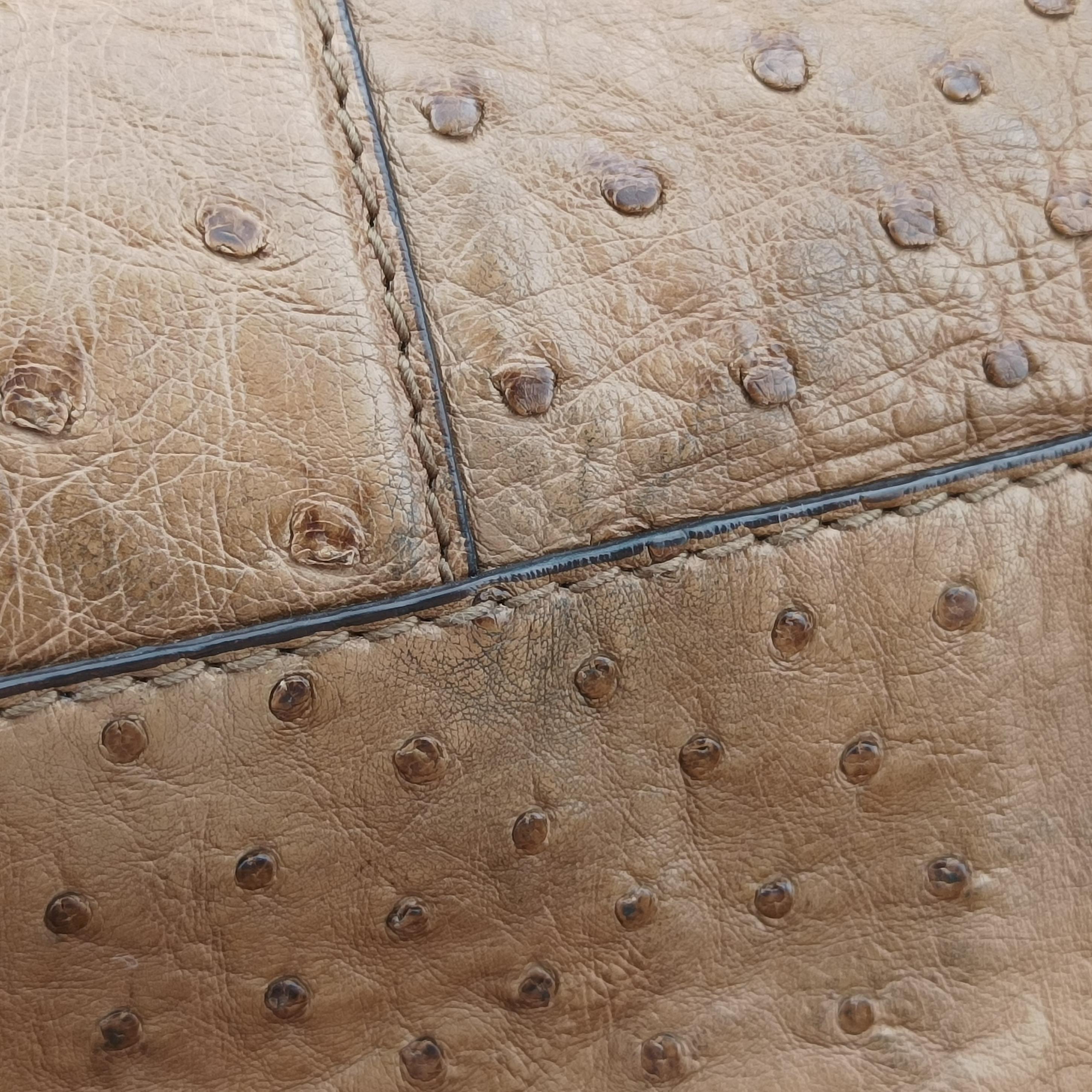 Pre-owned Gucci Ostrich Sumila Tote beige Ostrich Leather 269928 shoulderbag | stylenewstar