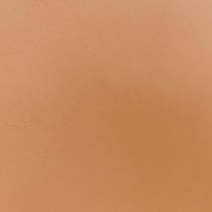 Secondhand Fendi Sunshine Brown Leather 8BH372 handbag | stylenewstar