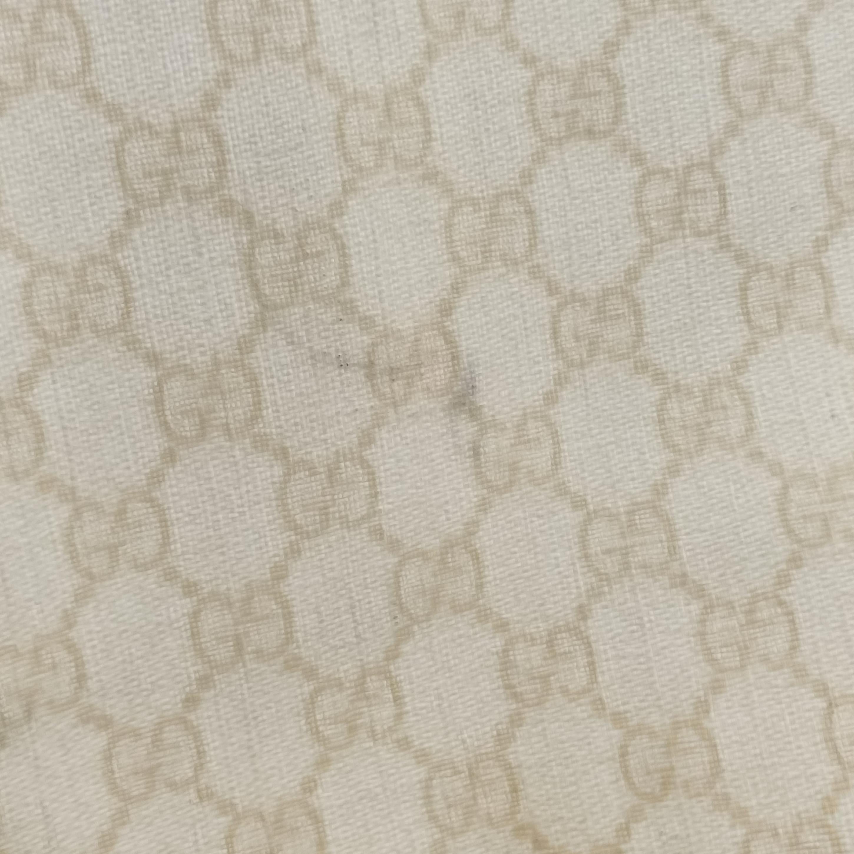 Pre-owned Gucci Guccissima GG Imprime White PVC coated canvas 211120 handbag | stylenewstar