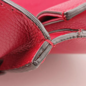 Pre-owned Gucci GG Marmont Animalier Red Leather 409155 handbag | stylenewstar