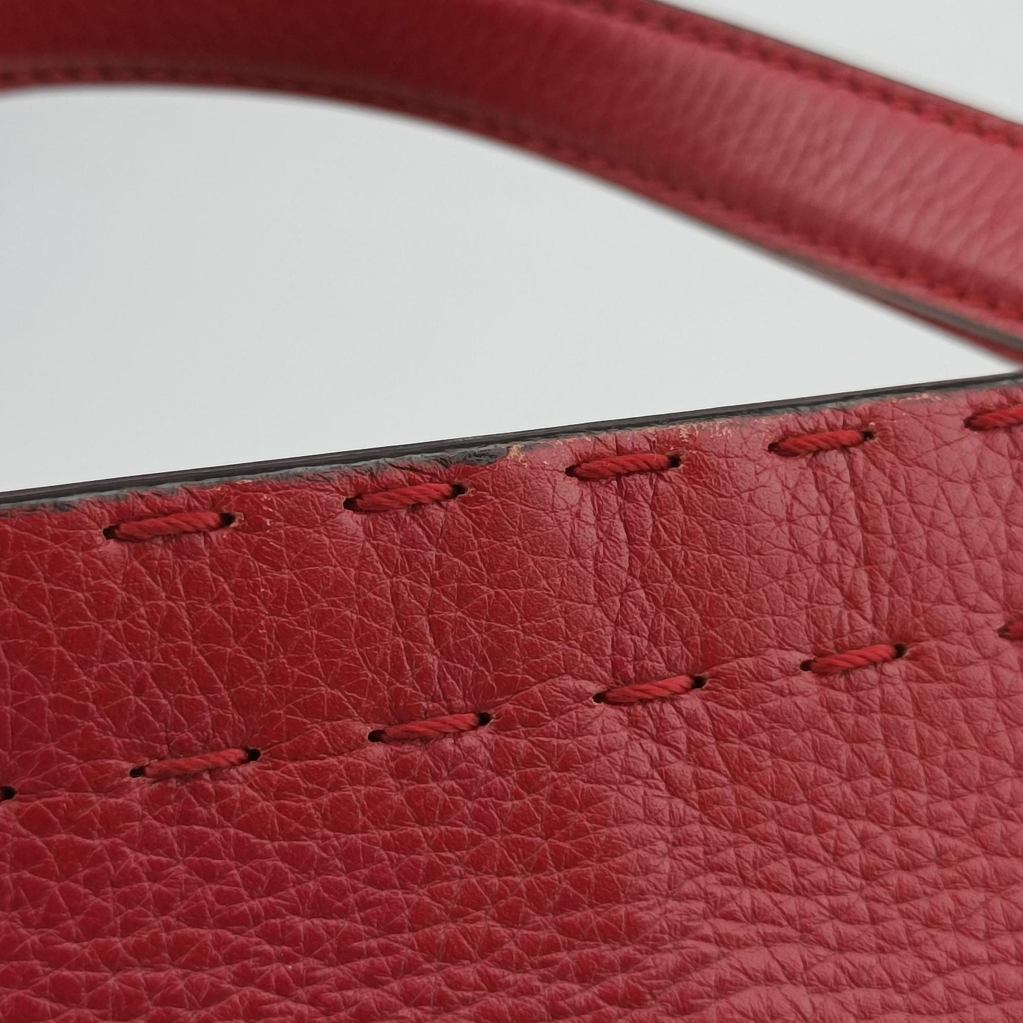 Pre-owned Gucci GG Marmont Animalier Red Leather 409155 handbag | stylenewstar