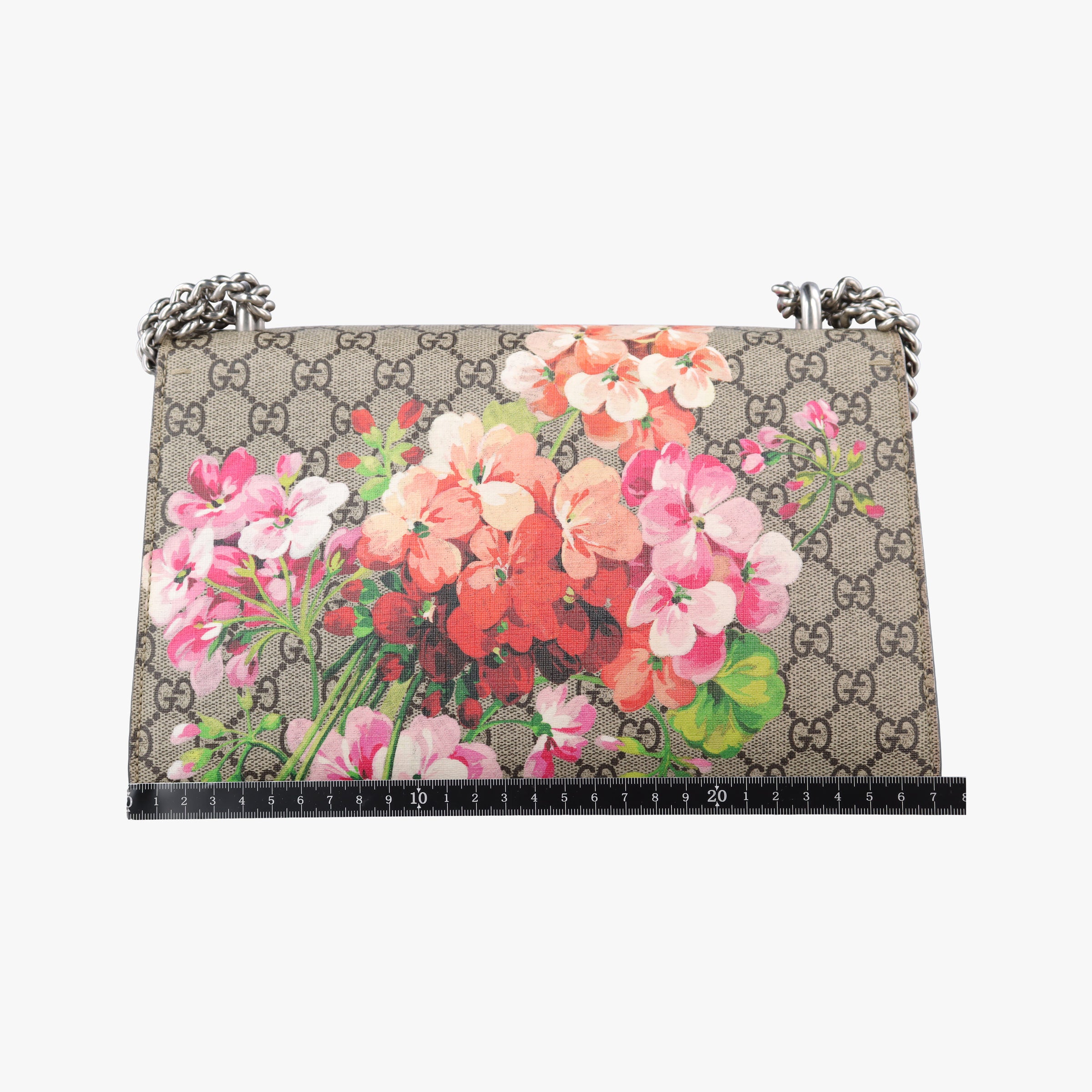 Vintage Gucci Dionysus Beige×red×multicolor PVC coated canvas × suede 400249 shoulderbag | stylenewstar