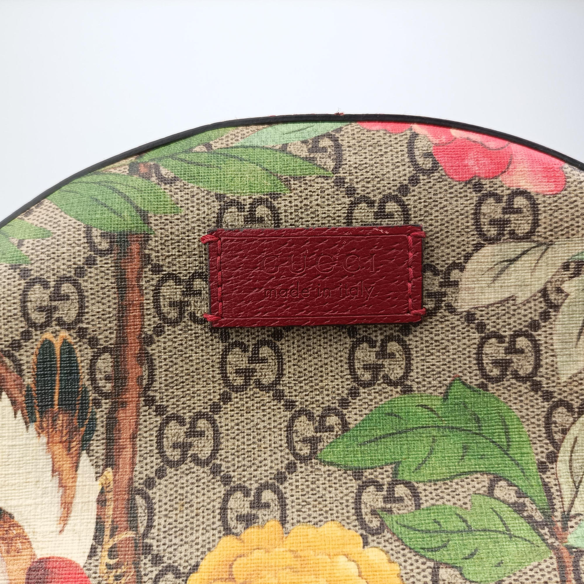 Pre-owned Gucci GG Supreme Tian Beige×red×multi PVC coated canvas×Leather 427042 backpack/rucksack | stylenewstar
