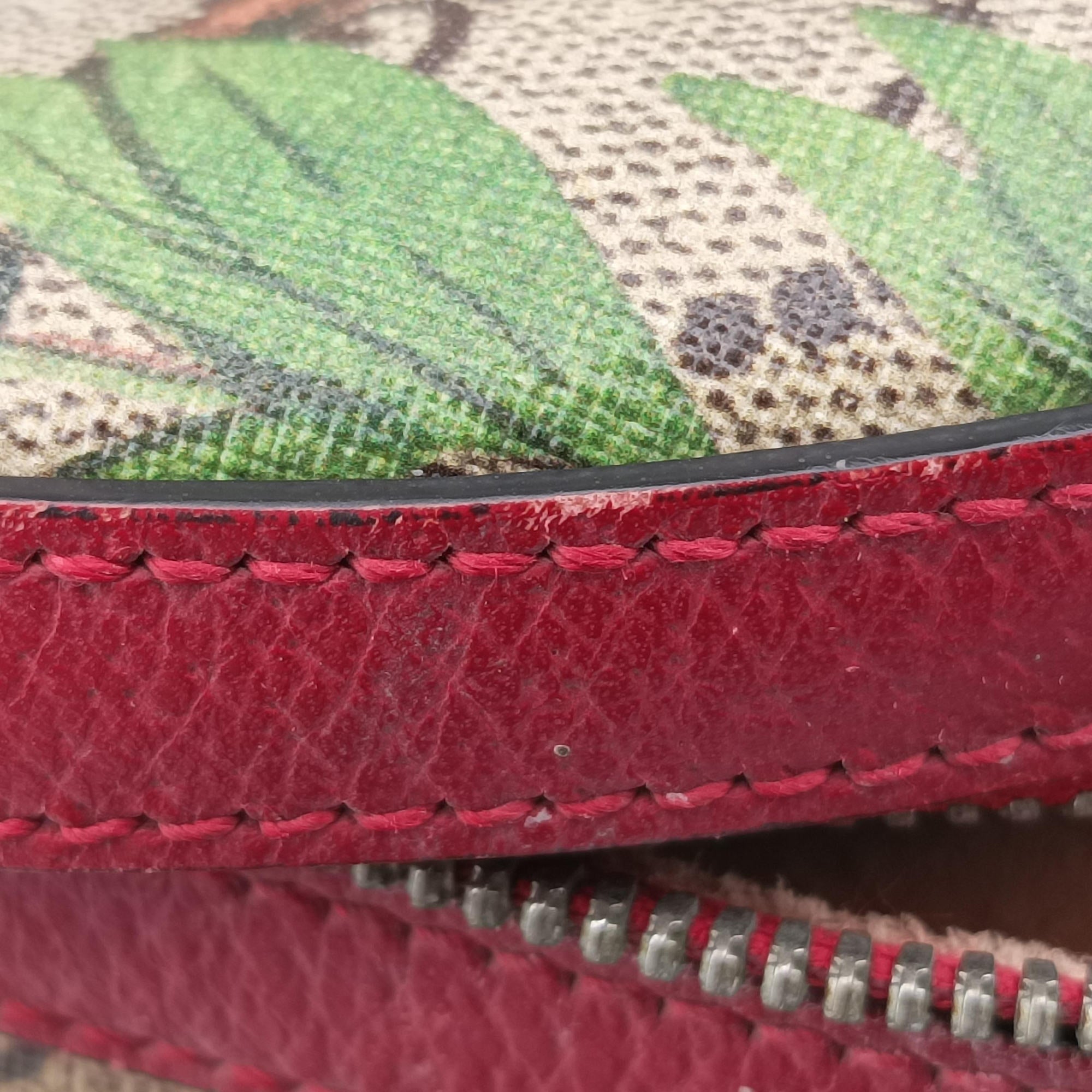 Pre-owned Gucci GG Supreme Tian Beige×red×multi PVC coated canvas×Leather 427042 backpack/rucksack | stylenewstar