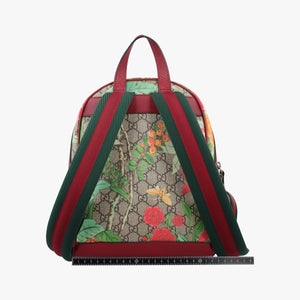 Pre-owned Gucci GG Supreme Tian Beige×red×multi PVC coated canvas×Leather 427042 backpack/rucksack | stylenewstar