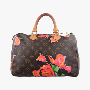 Pre-owned Louis Vuitton SPEEDY 30 brown×multi Monogram Canvas M48610 handbag | stylenewstar