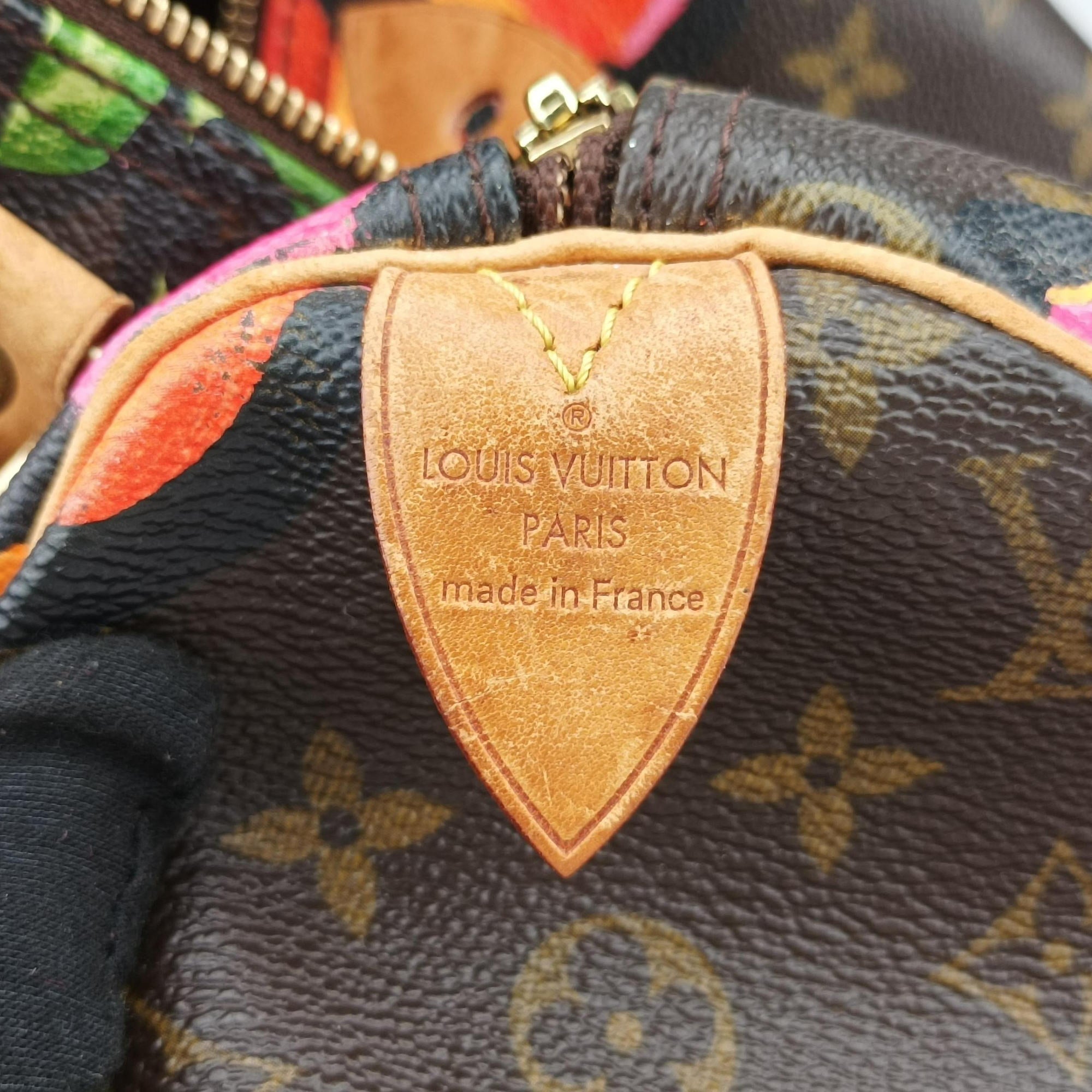 Pre-owned Louis Vuitton SPEEDY 30 brown×multi Monogram Canvas M48610 handbag | stylenewstar