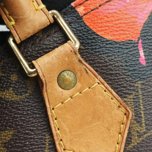 Pre-owned Louis Vuitton SPEEDY 30 brown×multi Monogram Canvas M48610 handbag | stylenewstar