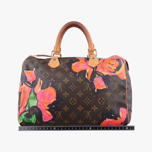 Pre-owned Louis Vuitton SPEEDY 30 brown×multi Monogram Canvas M48610 handbag | stylenewstar