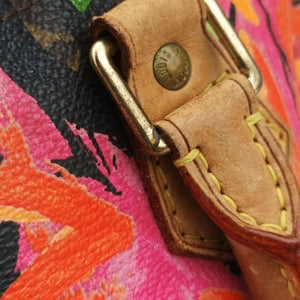 Pre-owned Louis Vuitton SPEEDY 30 brown×multi Monogram Canvas M48610 handbag | stylenewstar