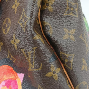 Pre-owned Louis Vuitton SPEEDY 30 brown×multi Monogram Canvas M48610 handbag | stylenewstar