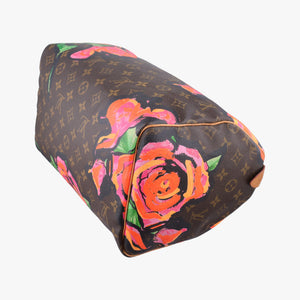 Pre-owned Louis Vuitton SPEEDY 30 brown×multi Monogram Canvas M48610 handbag | stylenewstar
