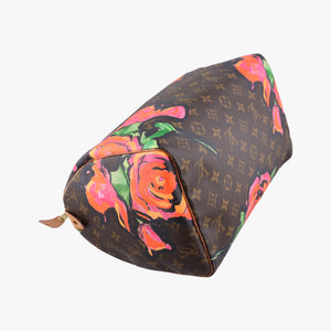 Pre-owned Louis Vuitton SPEEDY 30 brown×multi Monogram Canvas M48610 handbag | stylenewstar