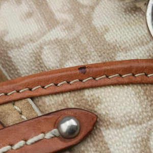 Vintage Christian Dior Romantique Trotter Beige x White xBrown PVC Coated Canvas x leather  handbag | stylenewstar