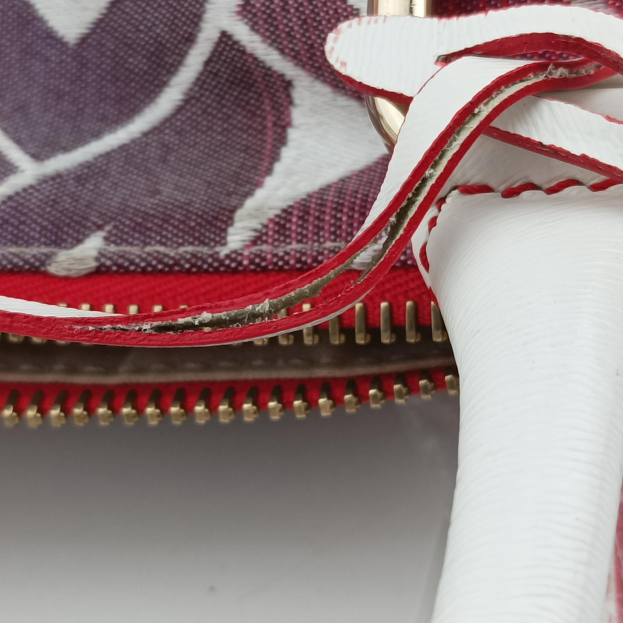 Secondhand Fendi Forever Gradient Print  Pink × Fuchsia Canvas × Leather 8BL068 handbag | stylenewstar