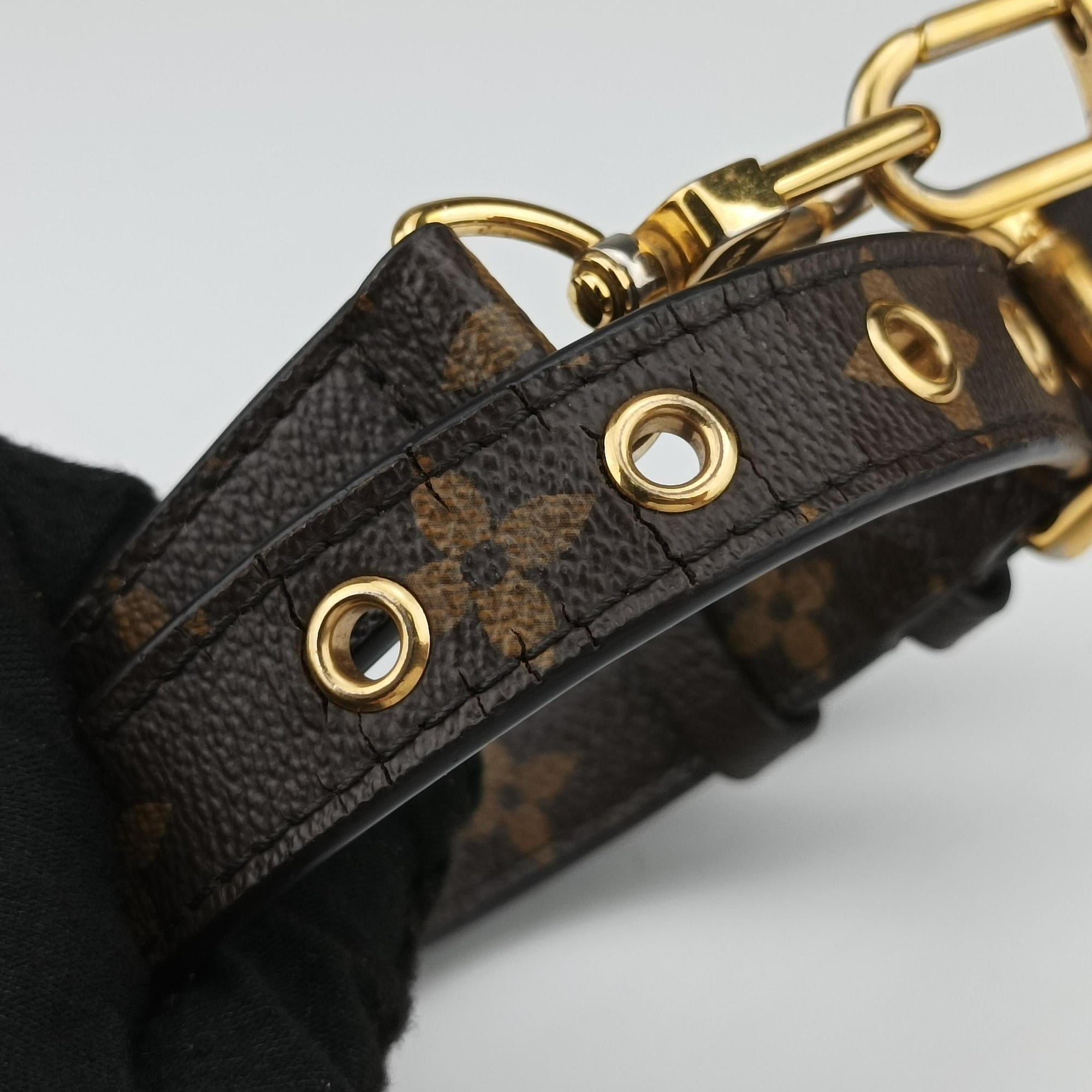 Pre-owned Louis Vuitton PALLAS brown×SAFRAN Monogram Canvas×calf leather M40929 shoulderbag | stylenewstar