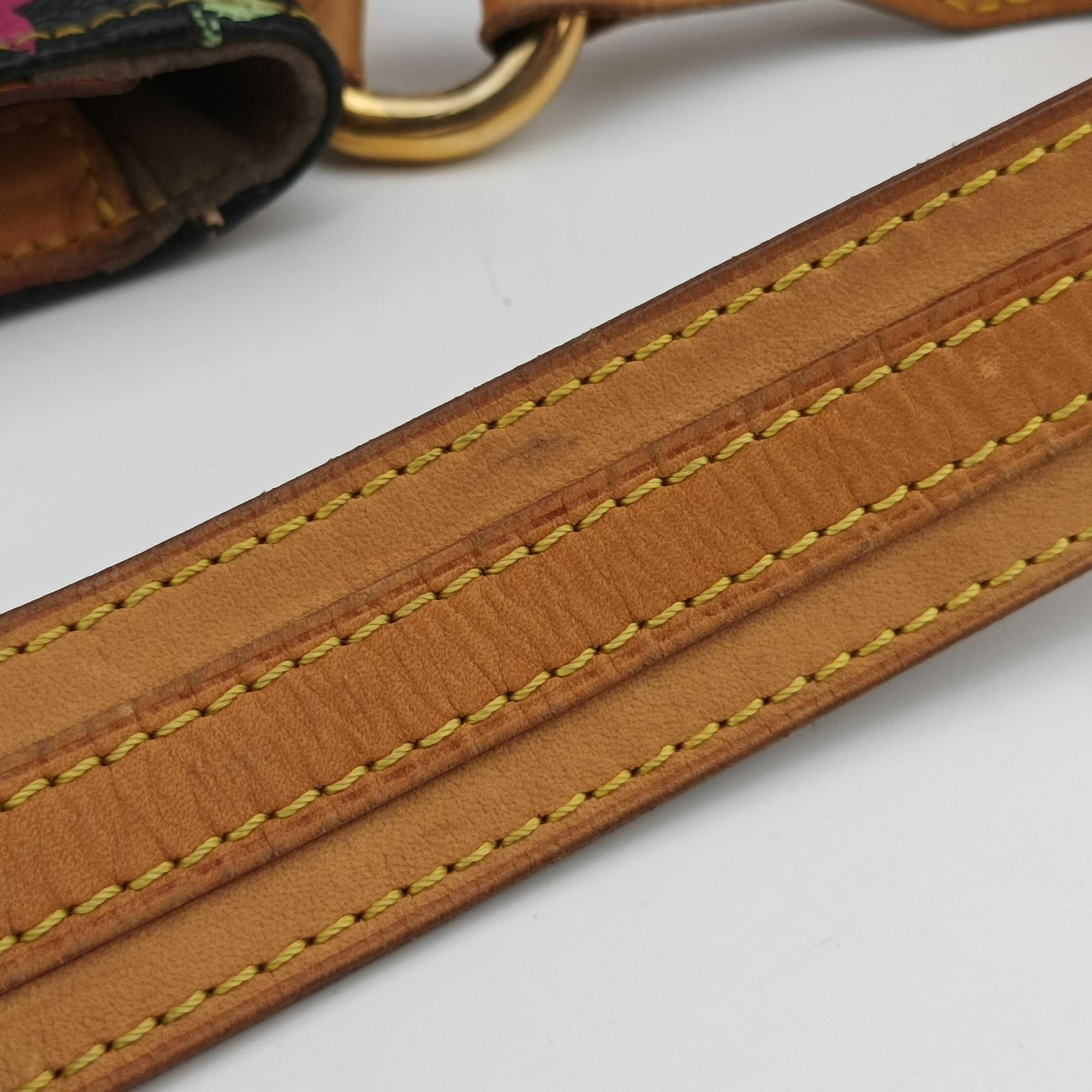 Pre-owned Louis Vuitton Lodge PM Noir Monogram Multicolor M40054 shoulderbag | stylenewstar