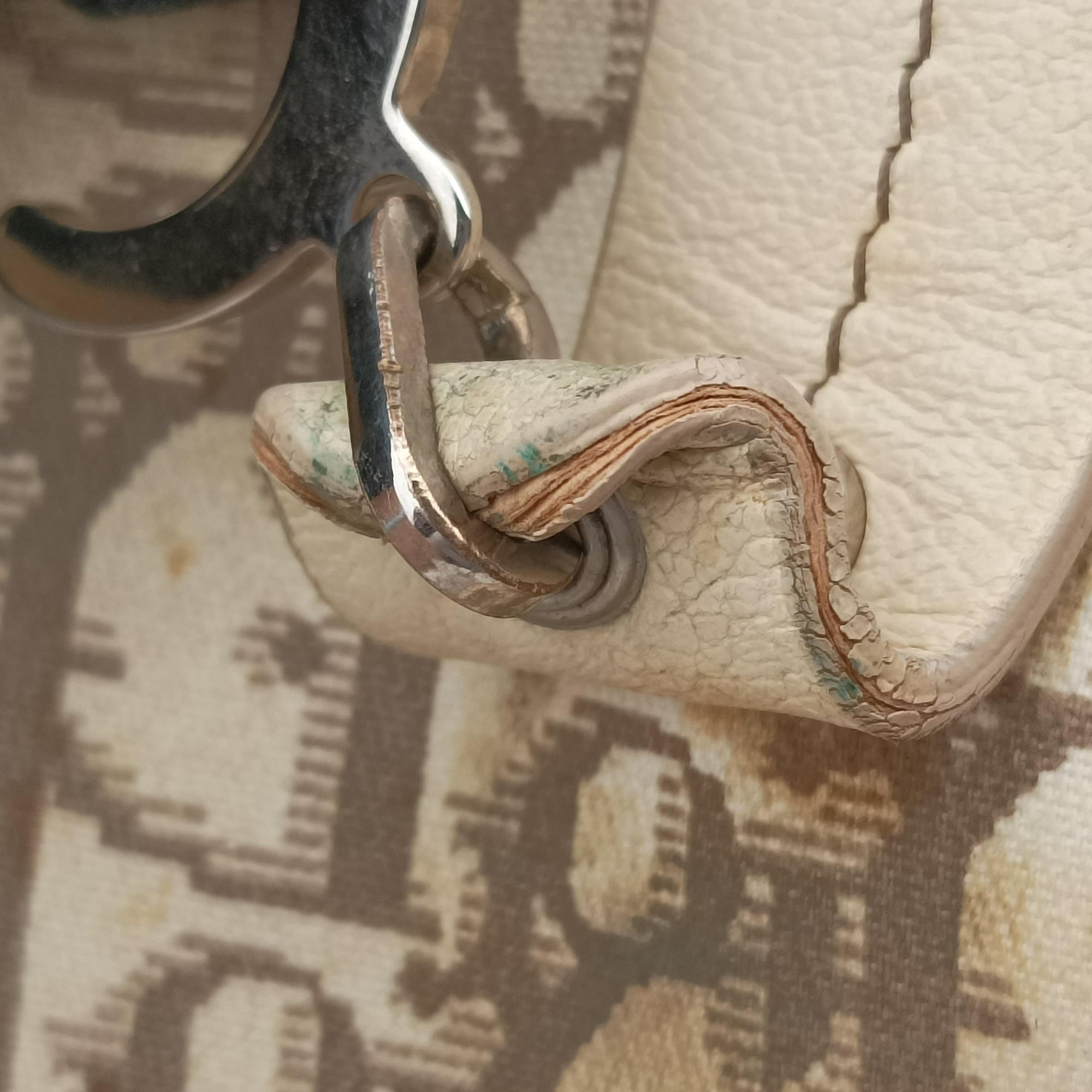 Pre-owned Christian Dior Trotter Flower Line Ivory×Beige×Multicolor Canvas × Leather  handbag | stylenewstar