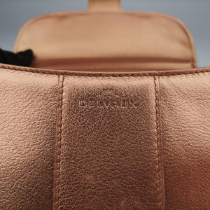 Pre-owned Delvaux Brillant Mini Pink Gold leather  shoulderbag | stylenewstar