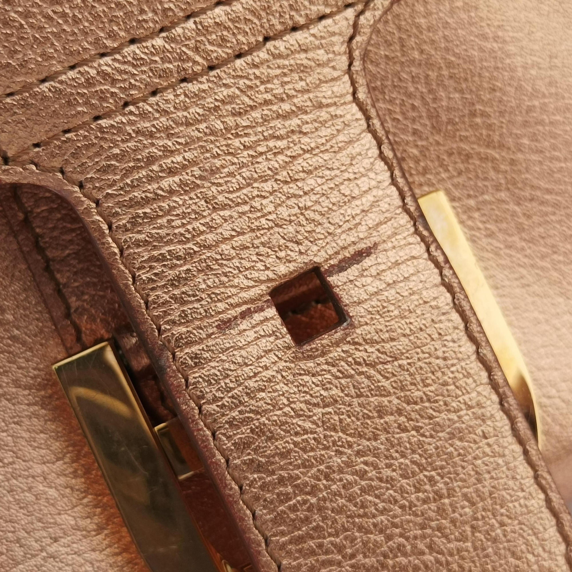 Pre-owned Delvaux Brillant Mini Pink Gold leather  shoulderbag | stylenewstar