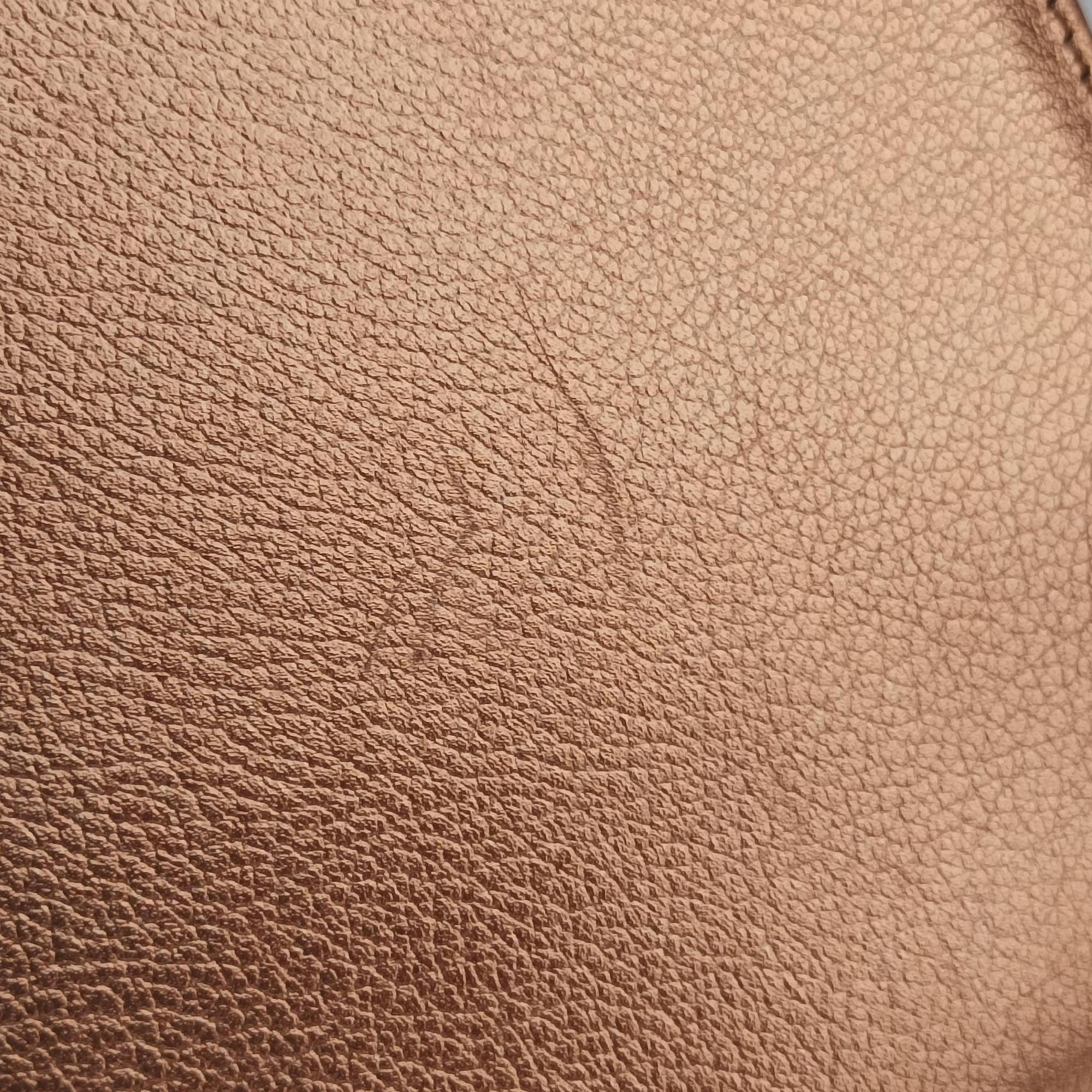 Pre-owned Delvaux Brillant Mini Pink Gold leather  shoulderbag | stylenewstar