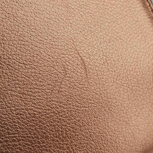 Pre-owned Delvaux Brillant Mini Pink Gold leather  shoulderbag | stylenewstar