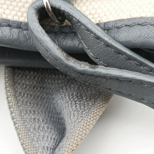 Pre-owned Balenciaga Navy Cabas XS Ivory × Gray Canvas x Leather  handbag | stylenewstar