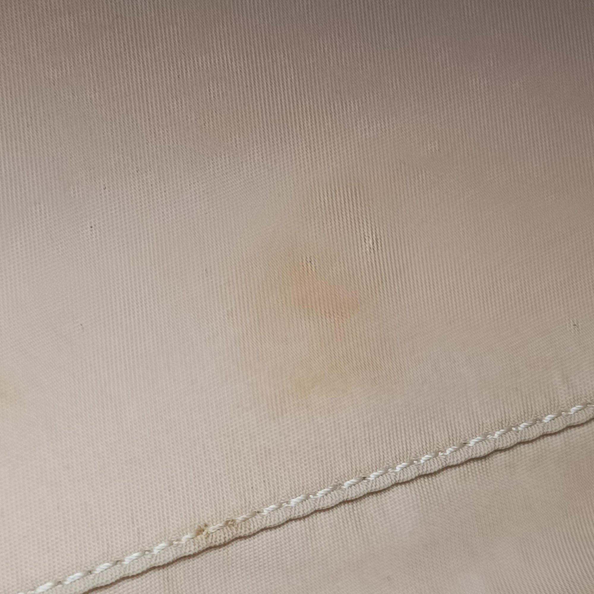 Pre-owned Christian Dior Romantic Trotter Beige x White PVC coated canvas x velour  handbag | stylenewstar
