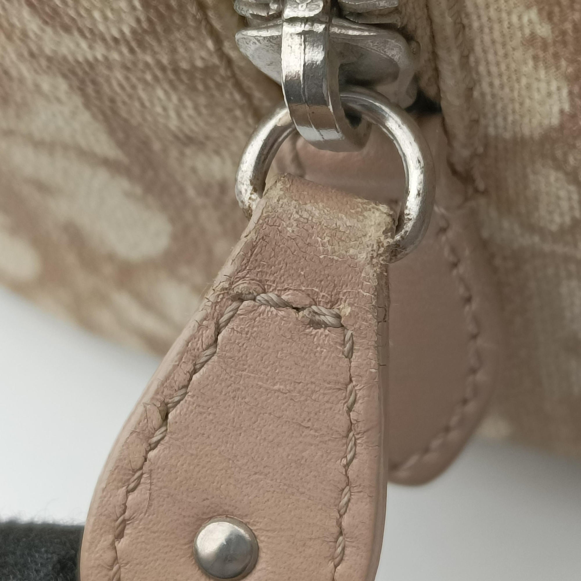 Pre-owned Christian Dior Romantic Trotter Beige x White PVC coated canvas x velour  handbag | stylenewstar