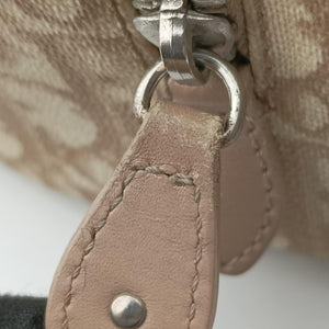 Pre-owned Christian Dior Romantic Trotter Beige x White PVC coated canvas x velour  handbag | stylenewstar