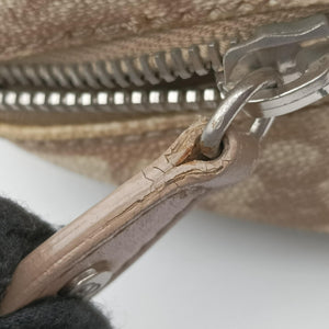 Pre-owned Christian Dior Romantic Trotter Beige x White PVC coated canvas x velour  handbag | stylenewstar