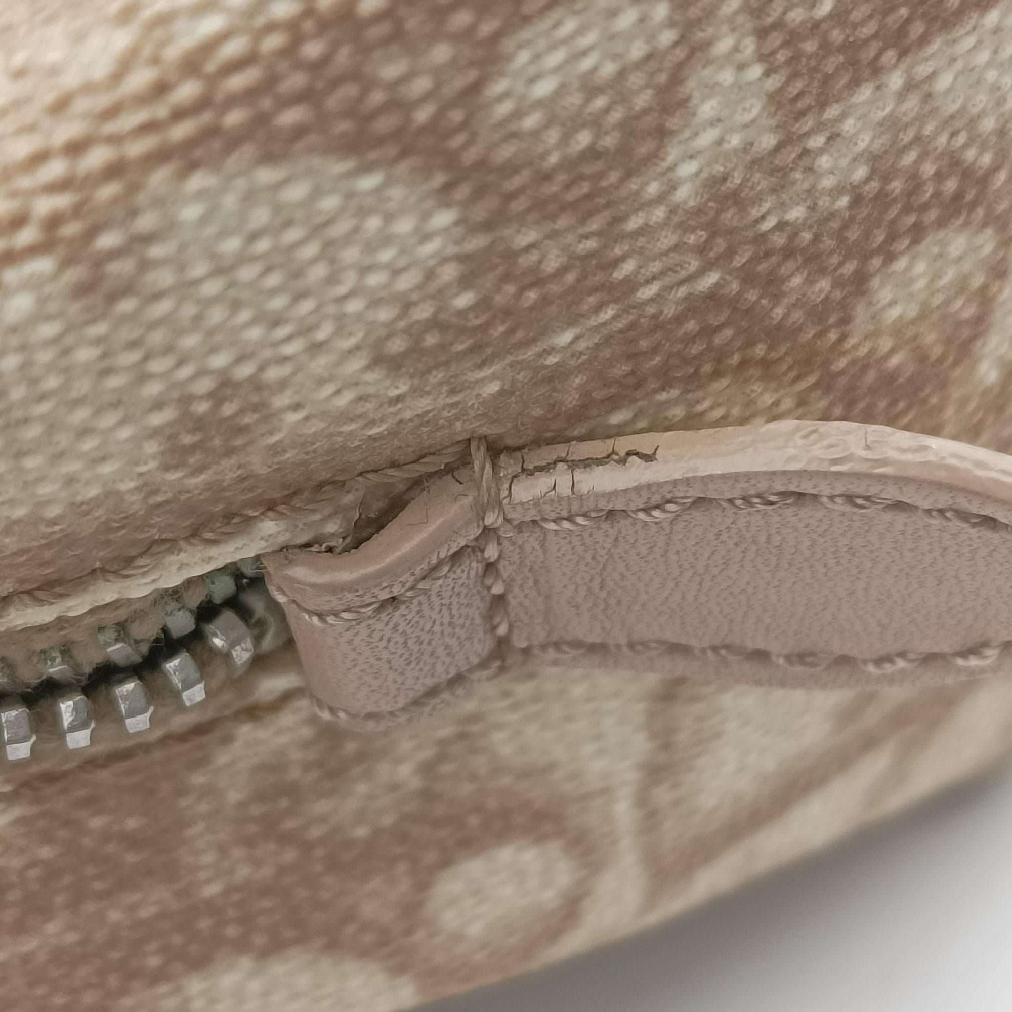 Pre-owned Christian Dior Romantic Trotter Beige x White PVC coated canvas x velour  handbag | stylenewstar
