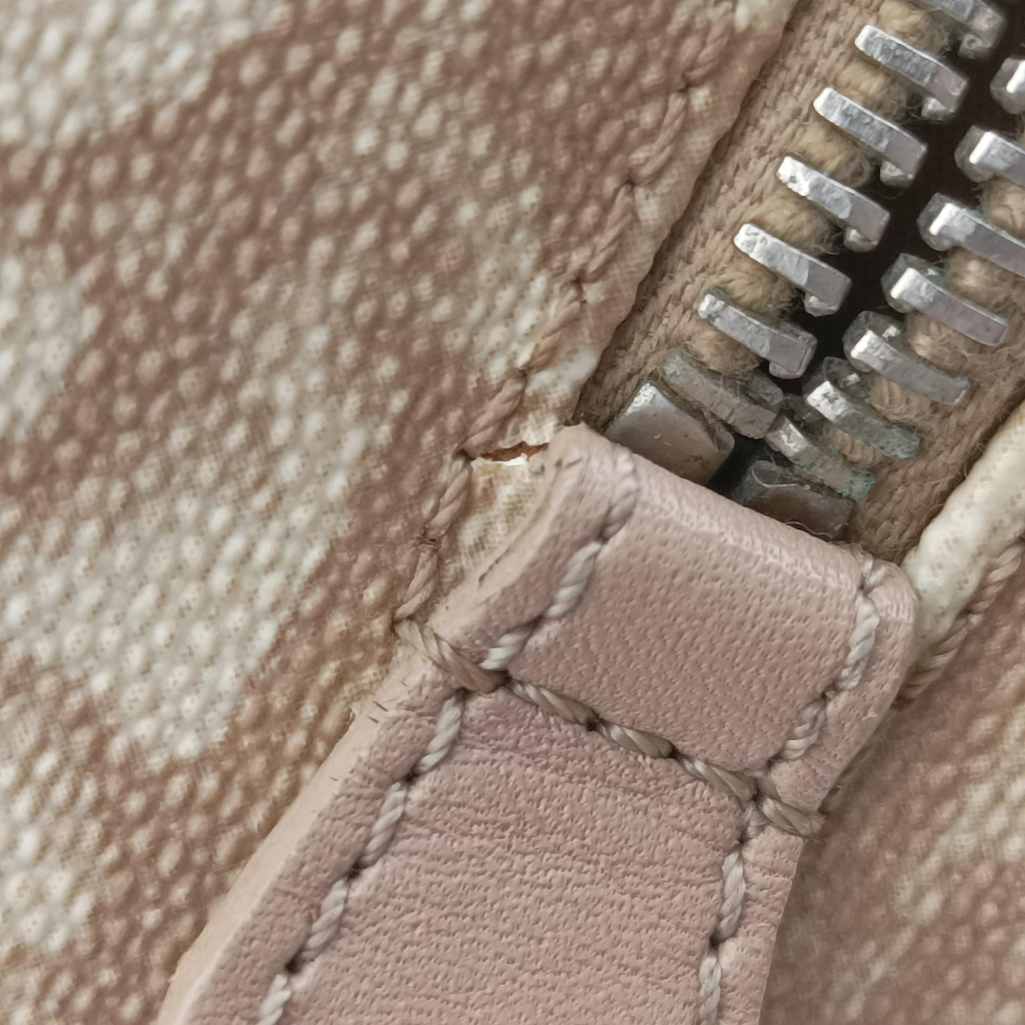 Pre-owned Christian Dior Romantic Trotter Beige x White PVC coated canvas x velour  handbag | stylenewstar