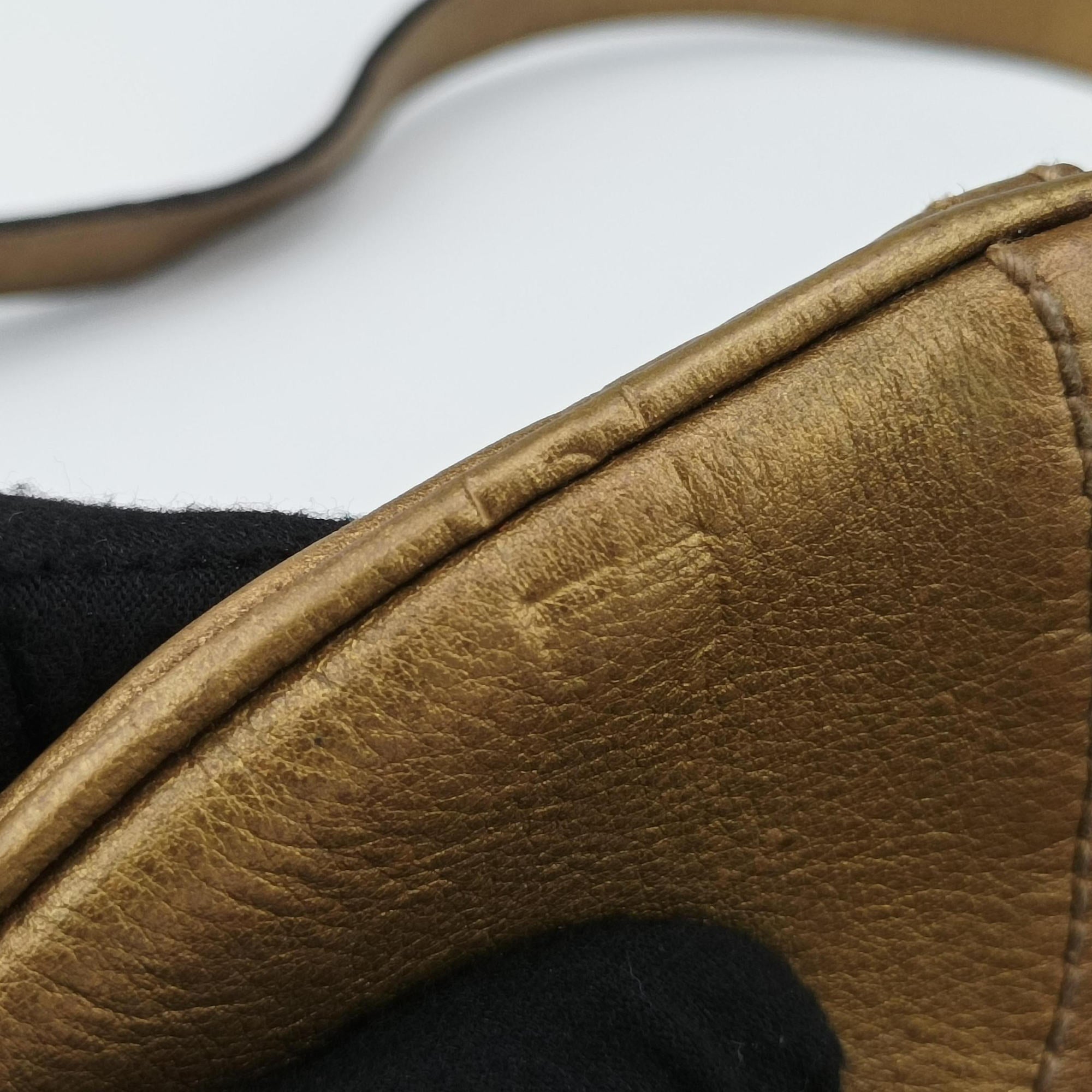 Pre-owned Gucci Princy Golden×Brown canvas×leather 204939 shoulderbag | stylenewstar