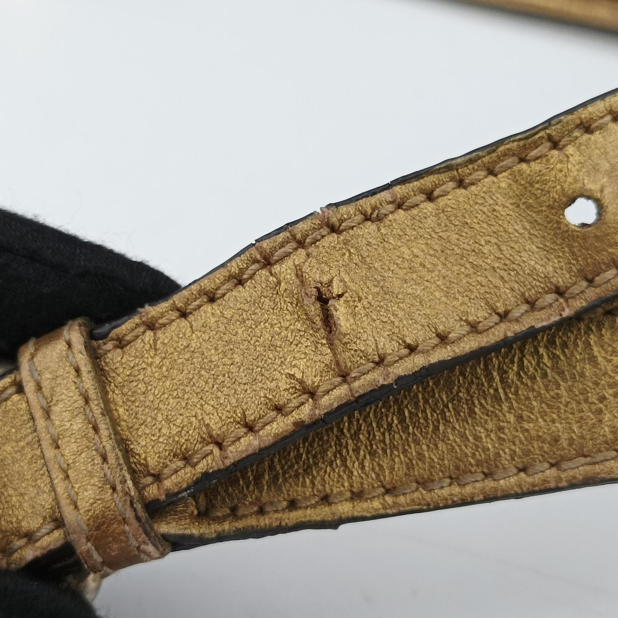 Pre-owned Gucci Princy Golden×Brown canvas×leather 204939 shoulderbag | stylenewstar