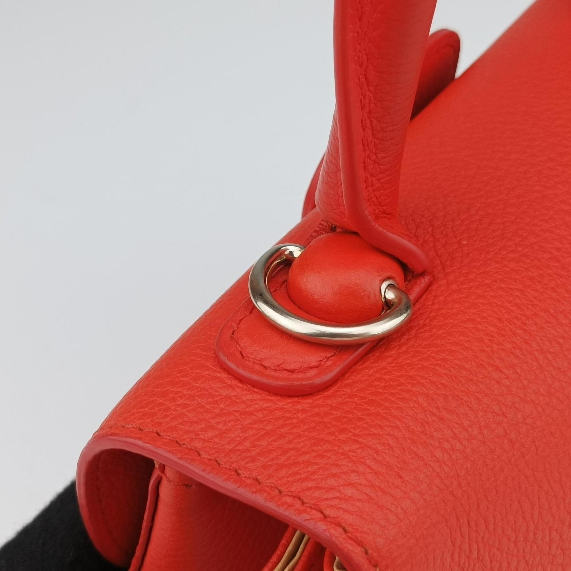 Vintage Delvaux Brillant Mini Orange Leather  shoulderbag | stylenewstar