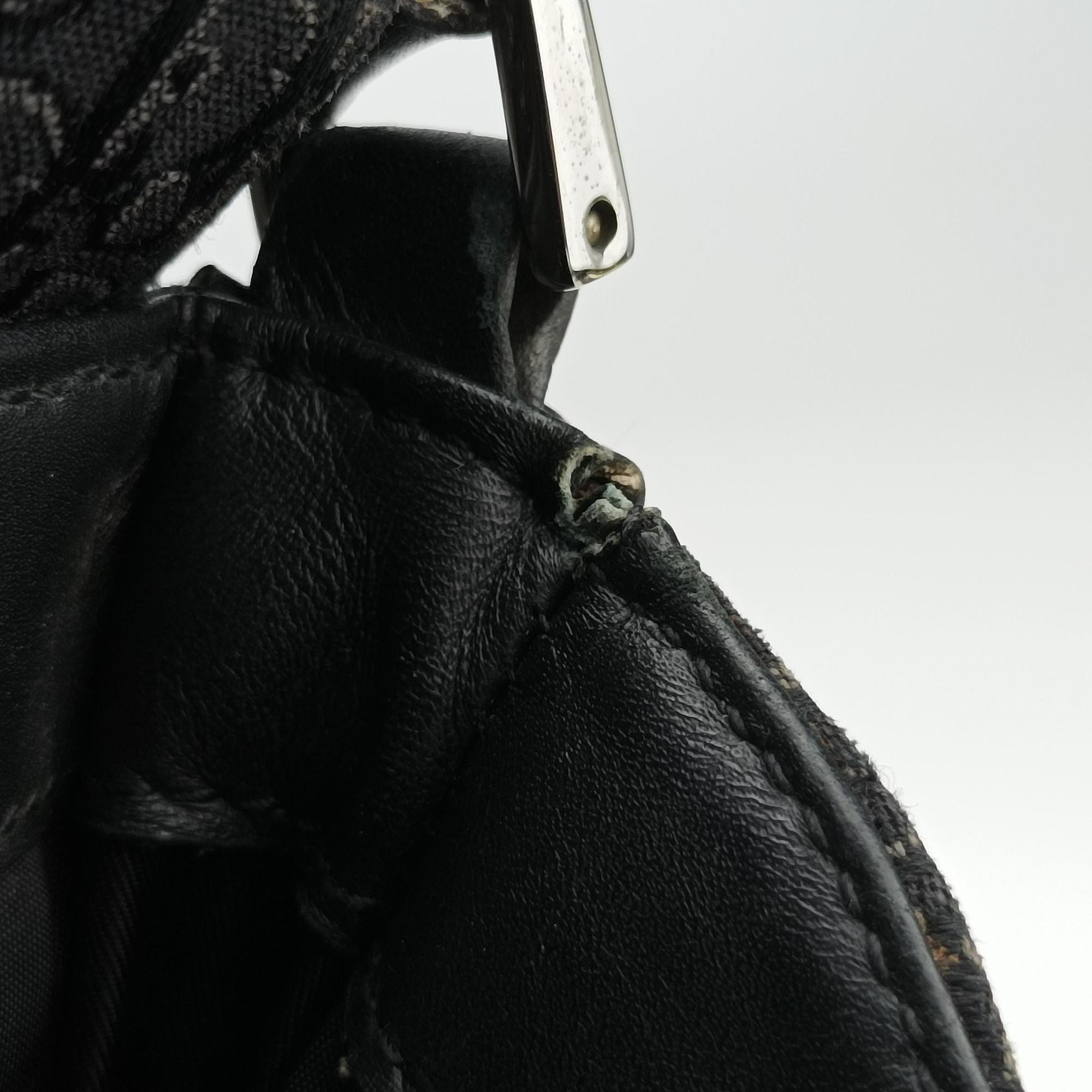 Pre-owned Christian Dior Street Chic Black canvasxleather  shoulderbag | stylenewstar