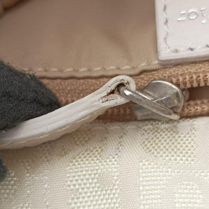 Pre-owned Christian Dior Lovely Beige Canvas × Leather  handbag | stylenewstar