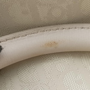 Pre-owned Christian Dior Lovely Beige Canvas × Leather  handbag | stylenewstar