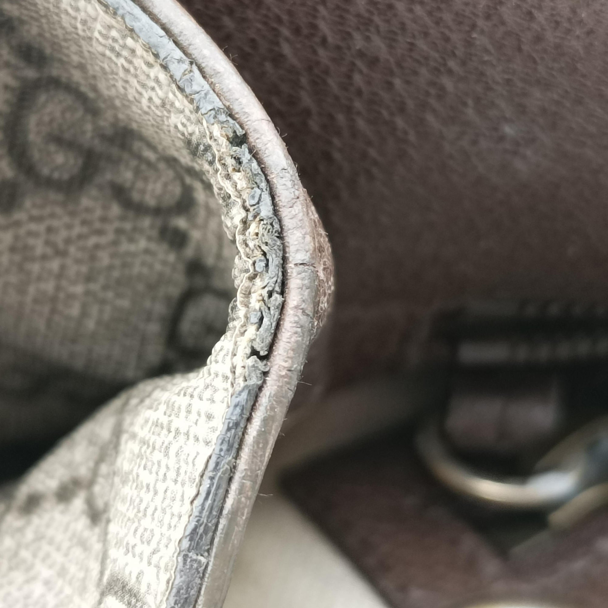 Pre-owned Gucci GG Supreme Bee Brown PVC coated canvas 450950 handbag | stylenewstar